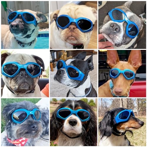NAMSAN Dog Sunglasses Medium Breed UV Protection Dog Goggles for Small to Medium Dogs Windproof Anti-Fog Snowproof Puppy Glasses, Easy Wear/Adjustable (Blue) - Image 2