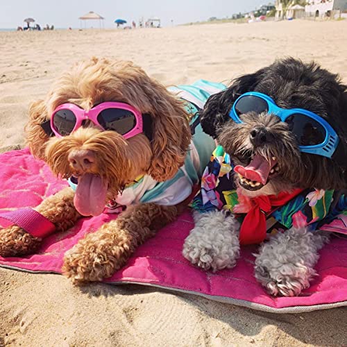 NAMSAN Dog Sunglasses Medium Breed UV Protection Dog Goggles for Small to Medium Dogs Windproof Anti-Fog Snowproof Puppy Glasses, Easy Wear/Adjustable (Blue) - Image 5