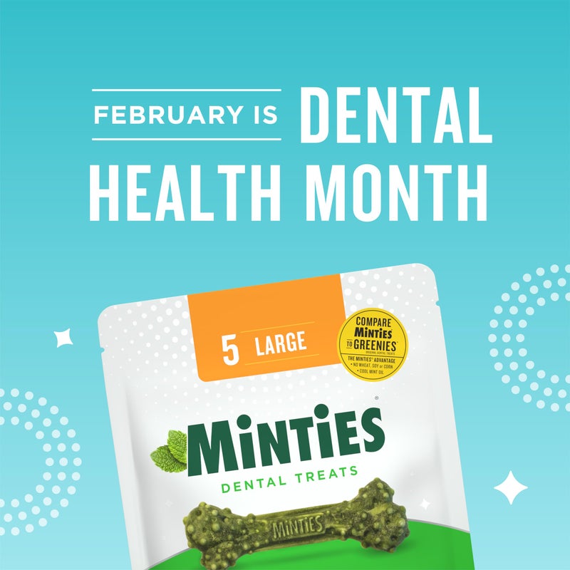 Minties Dental Chews for Dogs, 36 Count, Vet-Recommended Mint-Flavored Treats for Large Dogs Over 50 lbs, Dental Bones Clean Teeth, Fight Bad Breath, and Removes Plaque and Tartar - Image 2