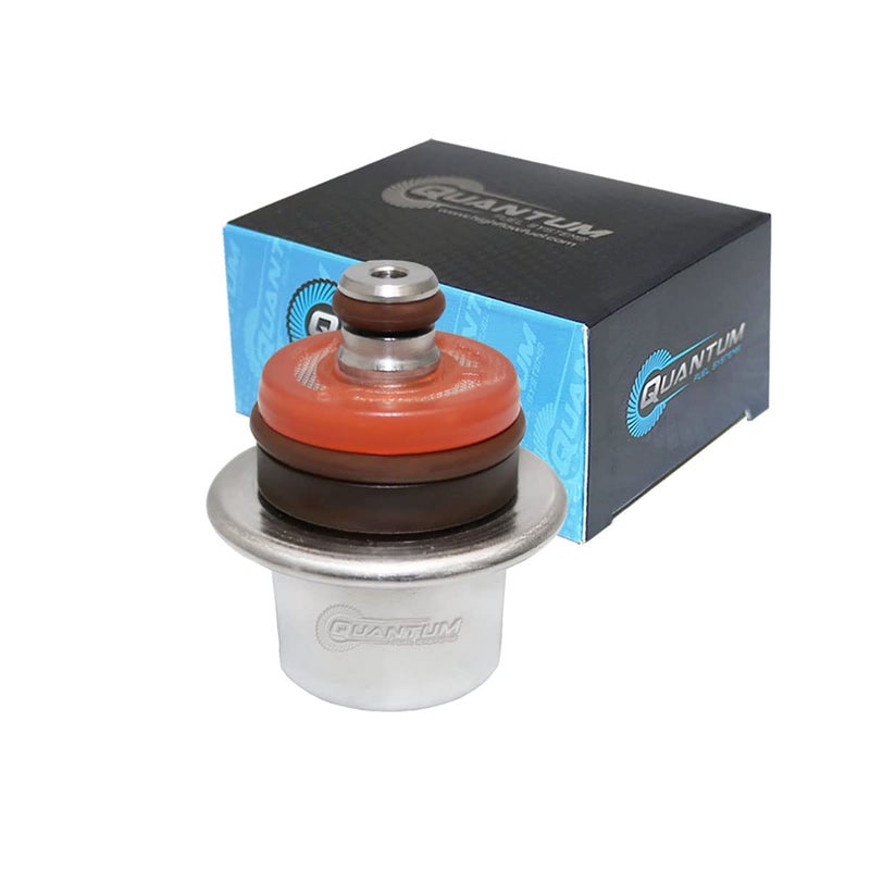 QFS oem Fuel Pressure Regulator Replacement for Harley Davidson Electra Glide Road Glide Road King Carb Fat Boy Softail FLHR FLHT FLST FLTRI FXST 20012007 2740801