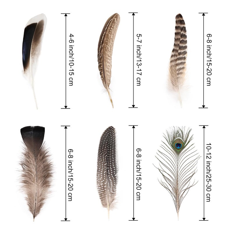 whitefeather Natural Feathers Bulk - 55PCS - 6 Styles Assorted Natural Feathers, Peacock Feathers, Pheasant Feathers, Turkey Feathers for DIY Crafts, Wedding, Crafting Supplies - Image 2