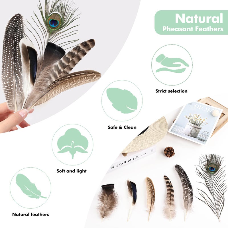 whitefeather Natural Feathers Bulk - 55PCS - 6 Styles Assorted Natural Feathers, Peacock Feathers, Pheasant Feathers, Turkey Feathers for DIY Crafts, Wedding, Crafting Supplies - Image 4