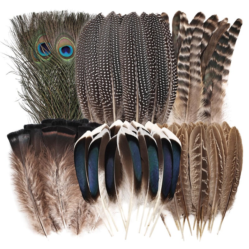 whitefeather Natural Feathers Bulk - 55PCS - 6 Styles Assorted Natural Feathers, Peacock Feathers, Pheasant Feathers, Turkey Feathers for DIY Crafts, Wedding, Crafting Supplies - Image 1