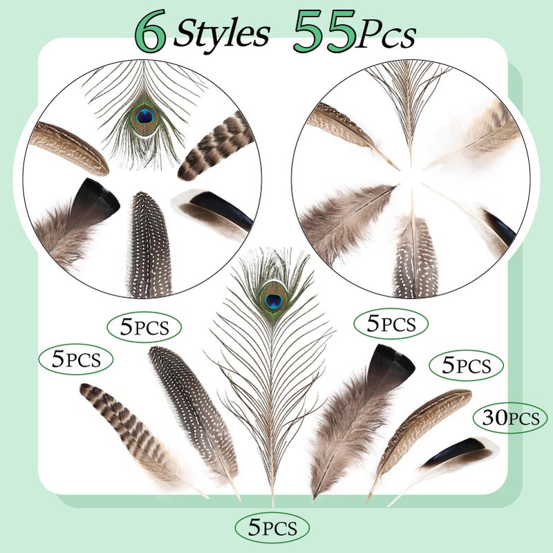 whitefeather Natural Feathers Bulk - 55PCS - 6 Styles Assorted Natural Feathers, Peacock Feathers, Pheasant Feathers, Turkey Feathers for DIY Crafts, Wedding, Crafting Supplies - Image 3