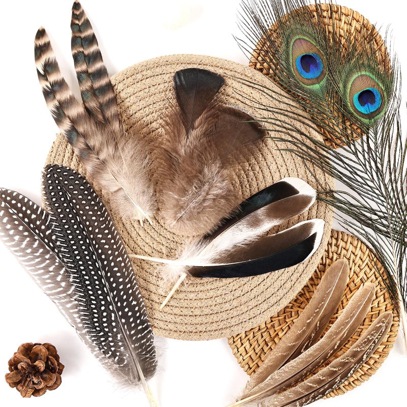 whitefeather Natural Feathers Bulk - 55PCS - 6 Styles Assorted Natural Feathers, Peacock Feathers, Pheasant Feathers, Turkey Feathers for DIY Crafts, Wedding, Crafting Supplies - Image 5