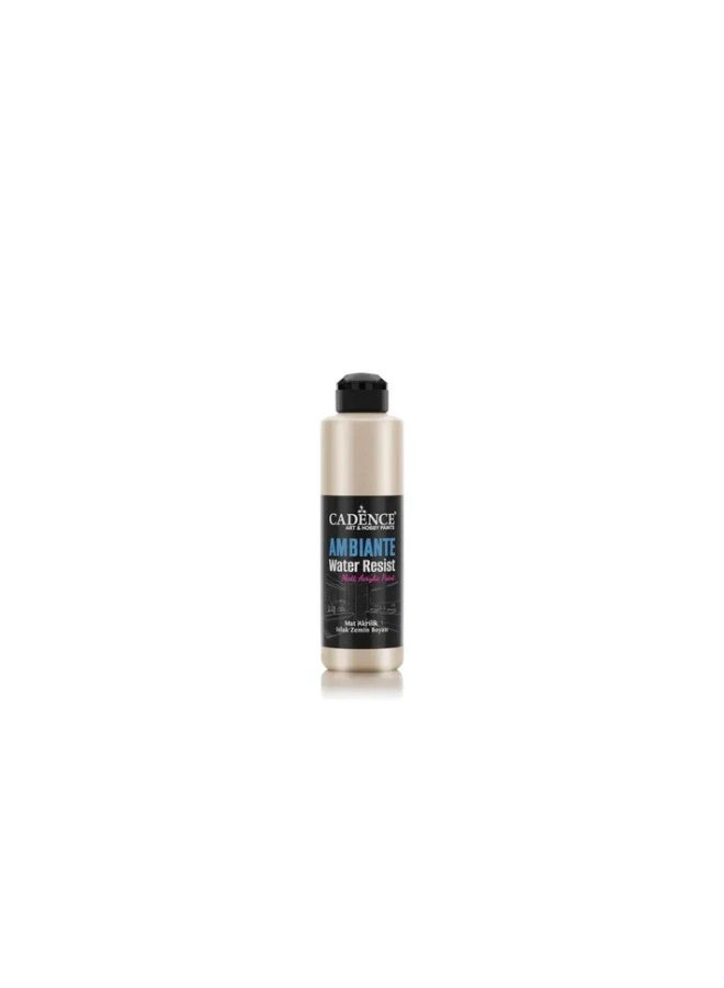 Ambiante Water Resist Matt Platinium - 250ML