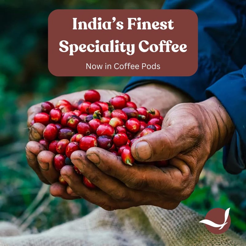 Toffee Coffee Roasters | Baba Budangiri Coffee Capsules | Nespresso Compatible Pods| 100% Speciality Grade | Notes: Nutty & Chocolaty | Roast: Medium Dark | Pack of 4 (40 Capsules) | - Image 3