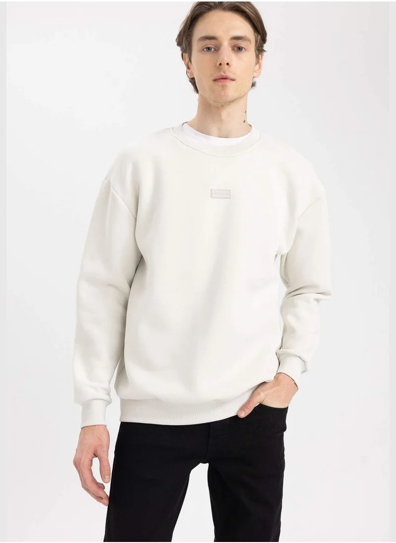 DeFacto Man Boxy Fit Crew Neck Long Sleeve Knitted Sweatshirt