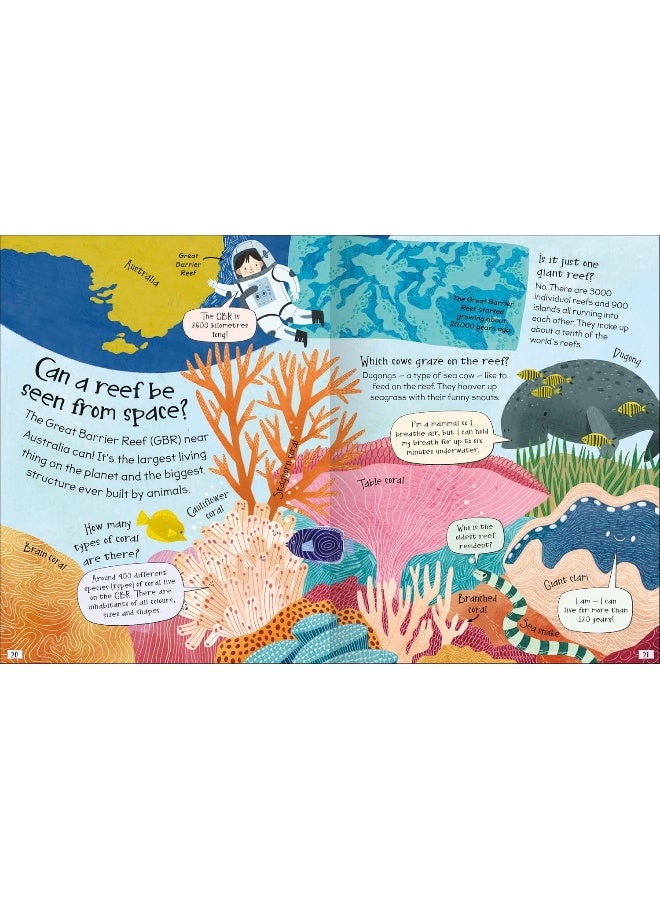Curious Questions & Answers About Coral Reefs - Image 4