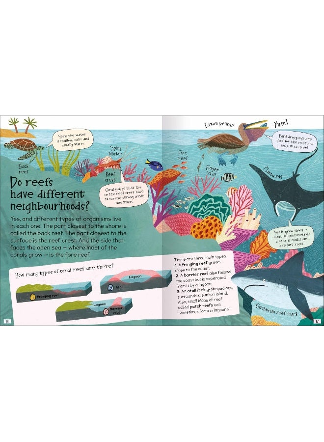 Curious Questions & Answers About Coral Reefs - Image 2