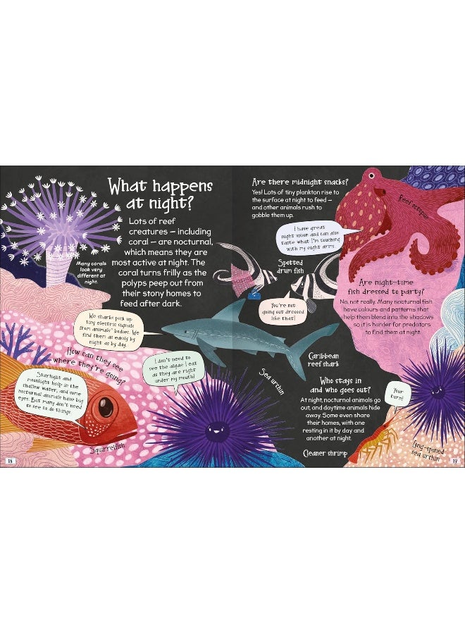 Curious Questions & Answers About Coral Reefs - Image 3