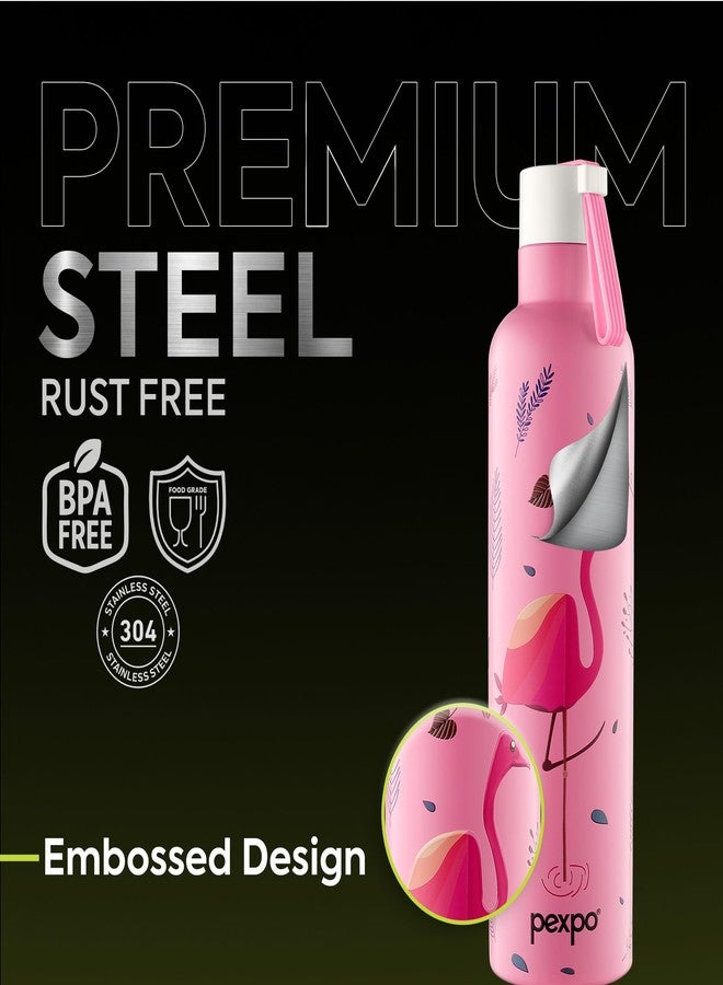 Pexpo Water Bottle 750ml Stainless Steel | Hot and Cold Flask | ISI Certified Steel Bottle | 3 Layer Insulation | Leakproof | for Home, Office, School | 1-Year Warranty | Oslo | Pink - Flamingo Bird - Image 3