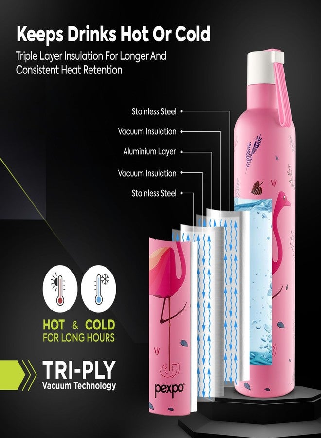Pexpo Water Bottle 750ml Stainless Steel | Hot and Cold Flask | ISI Certified Steel Bottle | 3 Layer Insulation | Leakproof | for Home, Office, School | 1-Year Warranty | Oslo | Pink - Flamingo Bird - Image 2