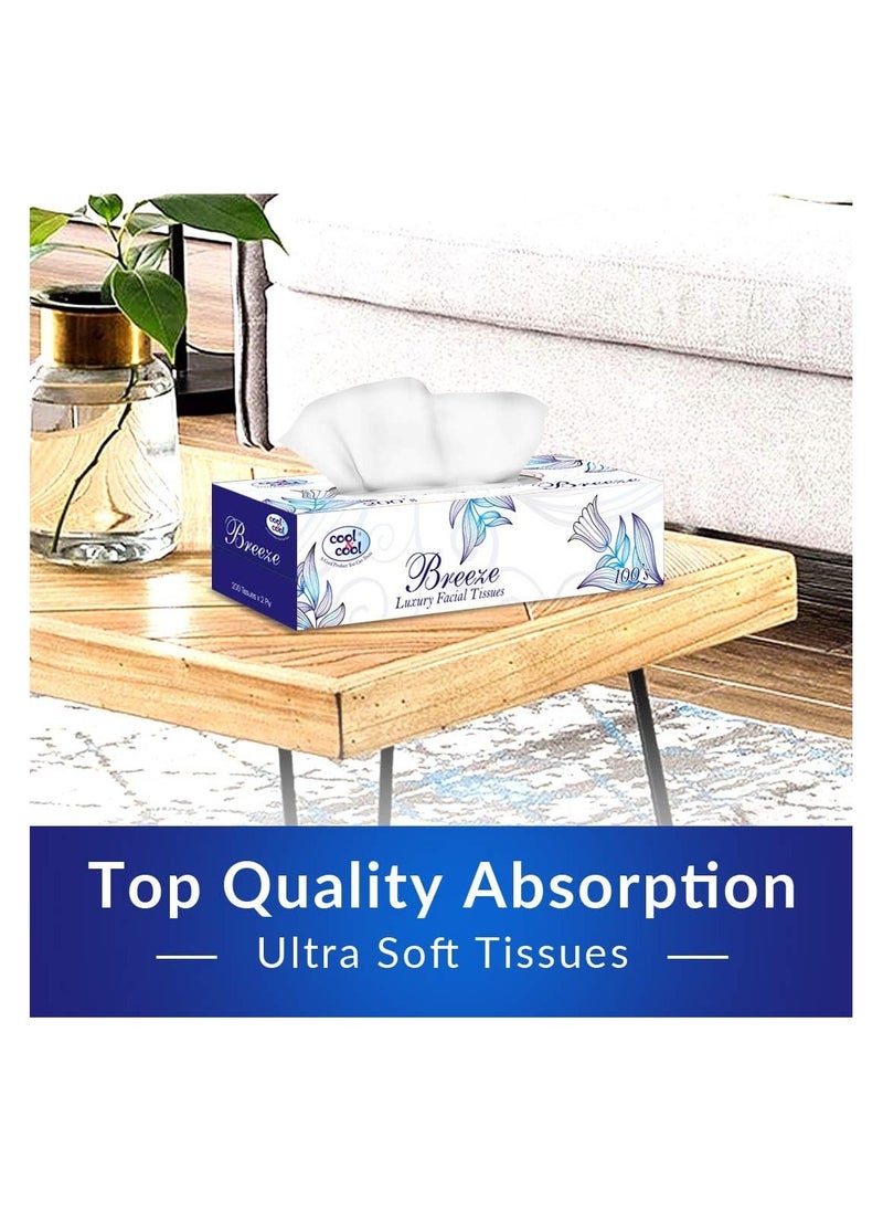 Cool & Cool Cool & Cool Breeze Facial Tissues 100's 2Ply (Pack of 6) - Soft, Soothing, and Convenient Box Pack for Refreshing Comfort 600's  - Image 3