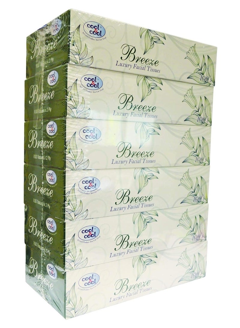 Cool & Cool Cool & Cool Breeze Facial Tissues 100's 2Ply (Pack of 6) - Soft, Soothing, and Convenient Box Pack for Refreshing Comfort 600's  - Image 5