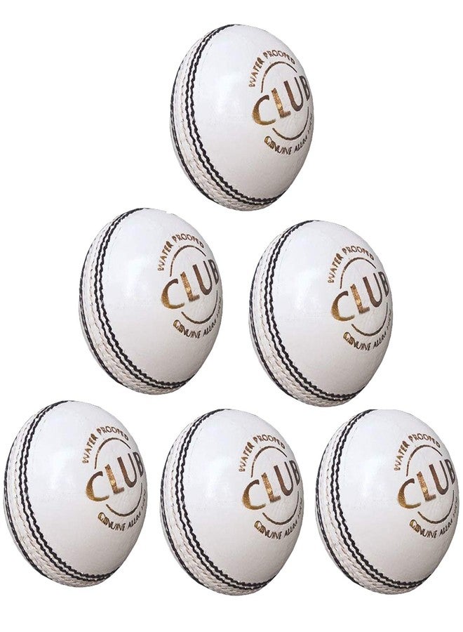 PSE Priya Sports Leather Club Cricket Ball Combo for Practice Pack of 6 (2Part) (White) - Image 1