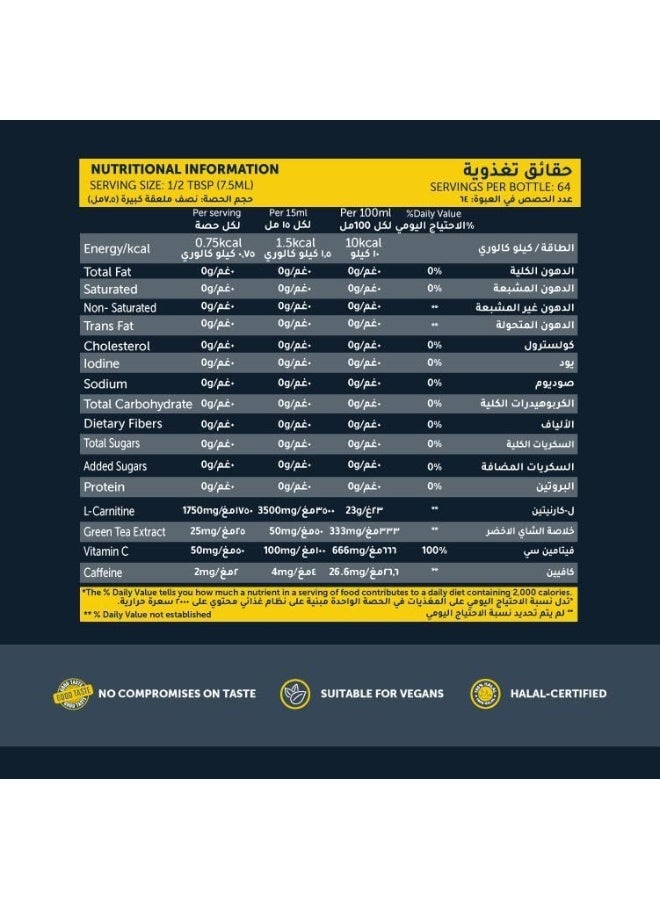 Basix 3500 L-Carnitine And Green Tea - Blue Razz Rush (64 Serv - 480 ml) - Image 3