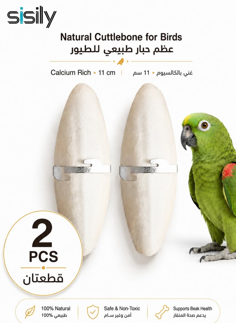 Sisily Natural Cuttlefish Bone For Birds 2 Pcs Calcium Rich Cuttlebone Chew Block For Parrots Budgies Canaries Finches And Pet Bird Cages - Image 1