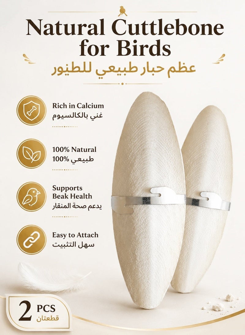 Sisily Natural Cuttlefish Bone For Birds 2 Pcs Calcium Rich Cuttlebone Chew Block For Parrots Budgies Canaries Finches And Pet Bird Cages - Image 2