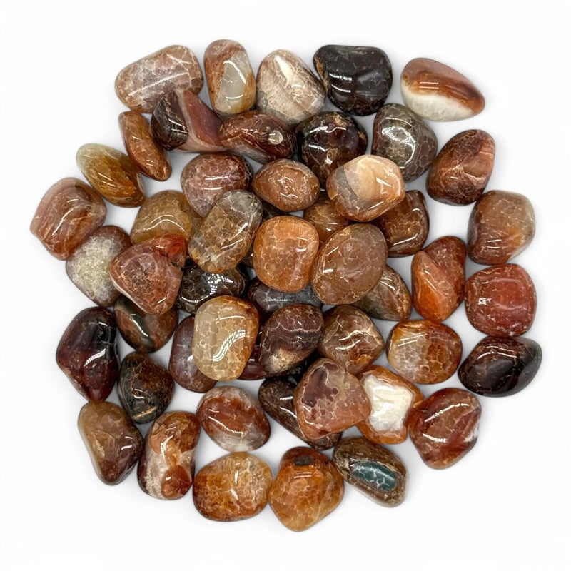 Pachamama Essentials Fire Agate Tumbled  Healing Stone  Crystal Healing 2025mm 5