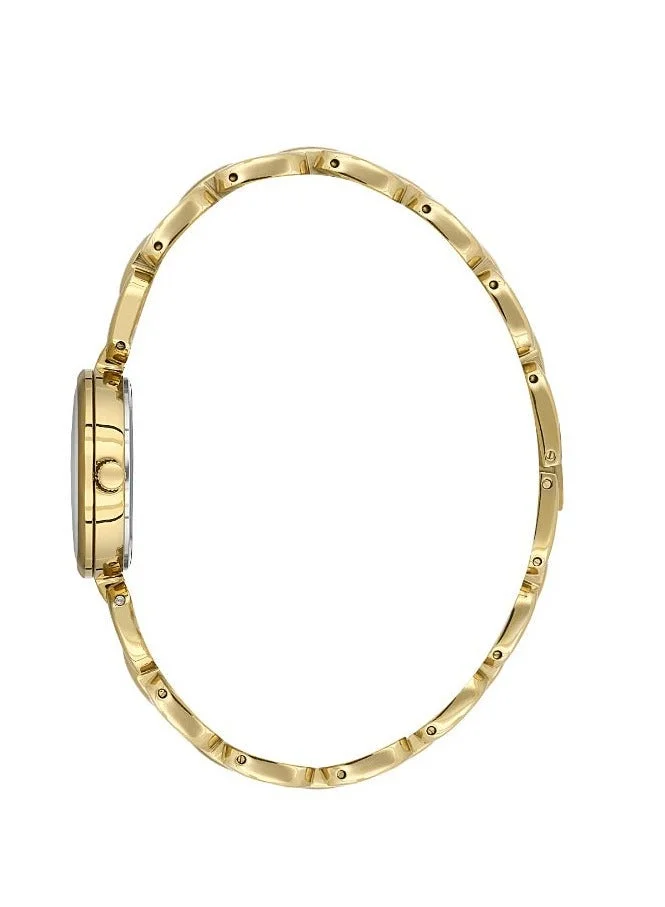BIGOTTI Bigotti - Raffinato Women Watch | Stainless SteelBrass Case | Analog | Round Dial | Mineral Glass | Japanese Quartz | Water Resistant 30 Meters