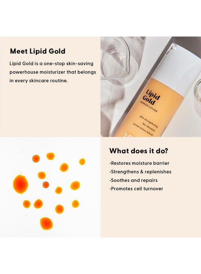 Stratia Lipid Gold Skinstrengthening Ceramide Moisturizer Niacinamide Serum Hydrate & Soothe Skin For All Skin Types 1.7 Fl Oz - Image 5