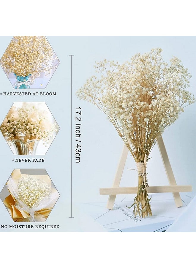 OUKEYI 17 Inch Dried Flowers Baby'S Breath Bouquet 2000+ Ivory White Dry Flowersnatural Gypsophila Branches For Home Decor Wedding Table Decor Diy Wreath Floral Dry Flowers Bulk For Vase - Image 5