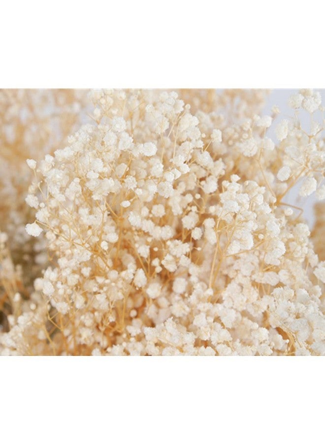 OUKEYI 17 Inch Dried Flowers Baby'S Breath Bouquet 2000+ Ivory White Dry Flowersnatural Gypsophila Branches For Home Decor Wedding Table Decor Diy Wreath Floral Dry Flowers Bulk For Vase - Image 3