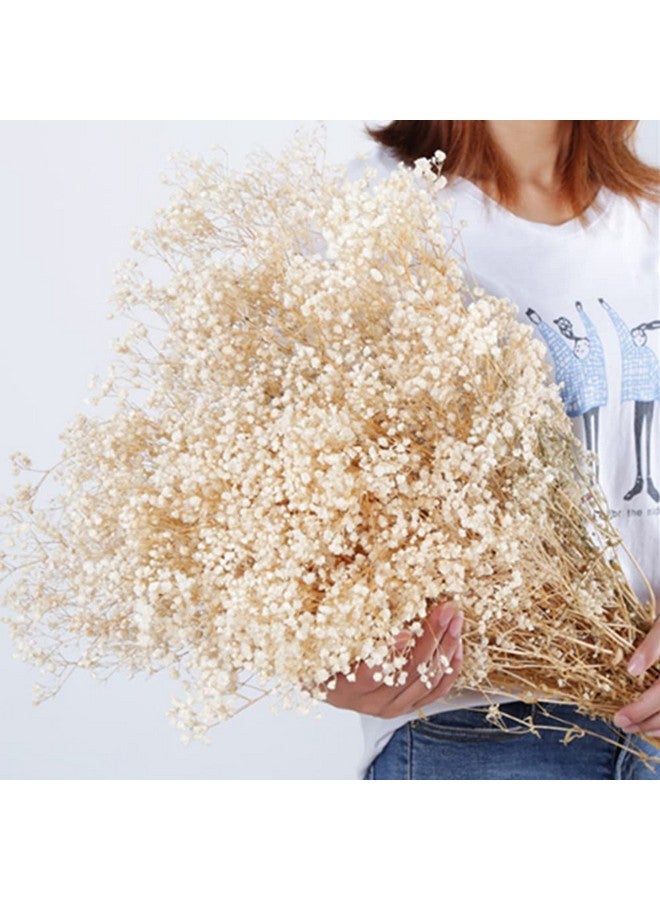 OUKEYI 17 Inch Dried Flowers Baby'S Breath Bouquet 2000+ Ivory White Dry Flowersnatural Gypsophila Branches For Home Decor Wedding Table Decor Diy Wreath Floral Dry Flowers Bulk For Vase - Image 2