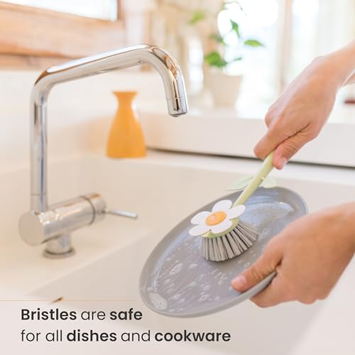 Vigar Florganic Daisy-Shaped Dish Brush with Vase Dish Brush Holder, Dish Brush with Handle, for Pot Scrubber, Kitchen Dishes, and Sink Cleaning, Orange - Image 4