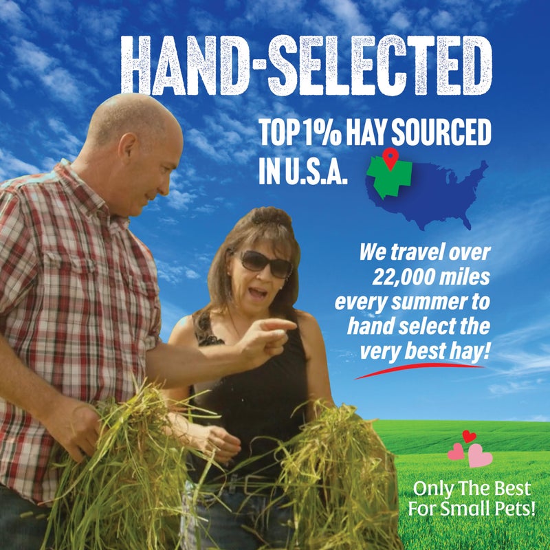 Small Pet Select 1st Cutting Timothy Hay, Animal Food for Guinea Pig, Rabbit, Hamster, Bunny, or Chinchilla, Natural Hay Grown in the USA, 2lb - Image 2