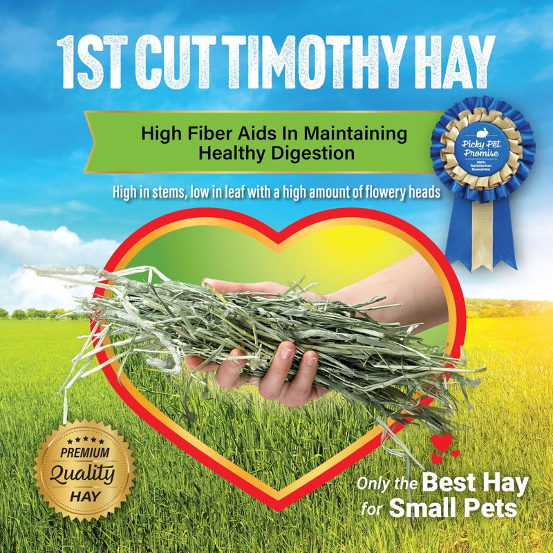 Small Pet Select 1st Cutting Timothy Hay, Animal Food for Guinea Pig, Rabbit, Hamster, Bunny, or Chinchilla, Natural Hay Grown in the USA, 2lb - Image 5