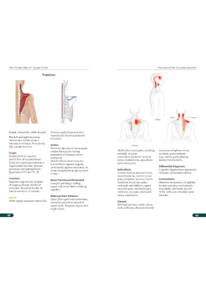 The Pocket Atlas of Trigger Points: A User-Friendly Guide to Muscle Anatomy, Pain Patterns, and the Myofascial Network for Students, Practitioners, and Patients 