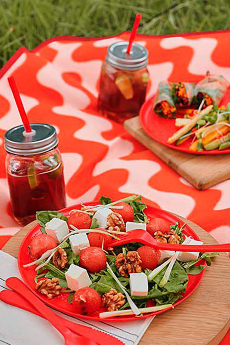 Tchibo 4 قطع أطباق نزهة، أحمر - Image 1