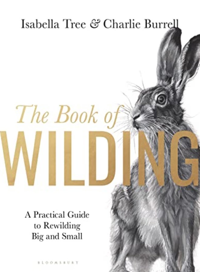 BK OF WILDING A PRACTICAL GT REWILDING 