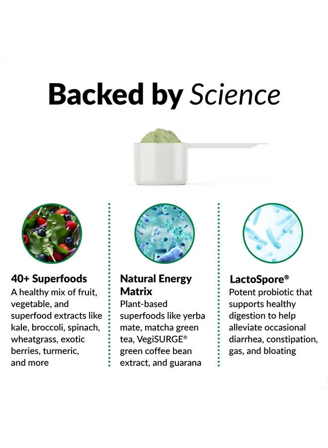 Force Factor Smarter Greens Superfoods + Energy Powder Greens Powder With Plantbased Caffeine Probiotics And Digestive Enzymes Superfood Powder To Boost Energy And Support Immunity 30 Servings - Image 4