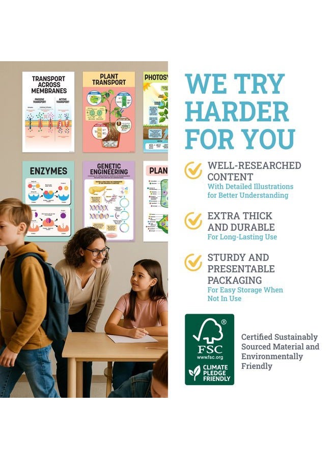 Decorably 16 Biology Posters for Classroom, 11x17in Matte-Laminated Educational Biology Posters for High School - Classroom, School Hallways, Bulletin Boards, Home Study Room - Image 2