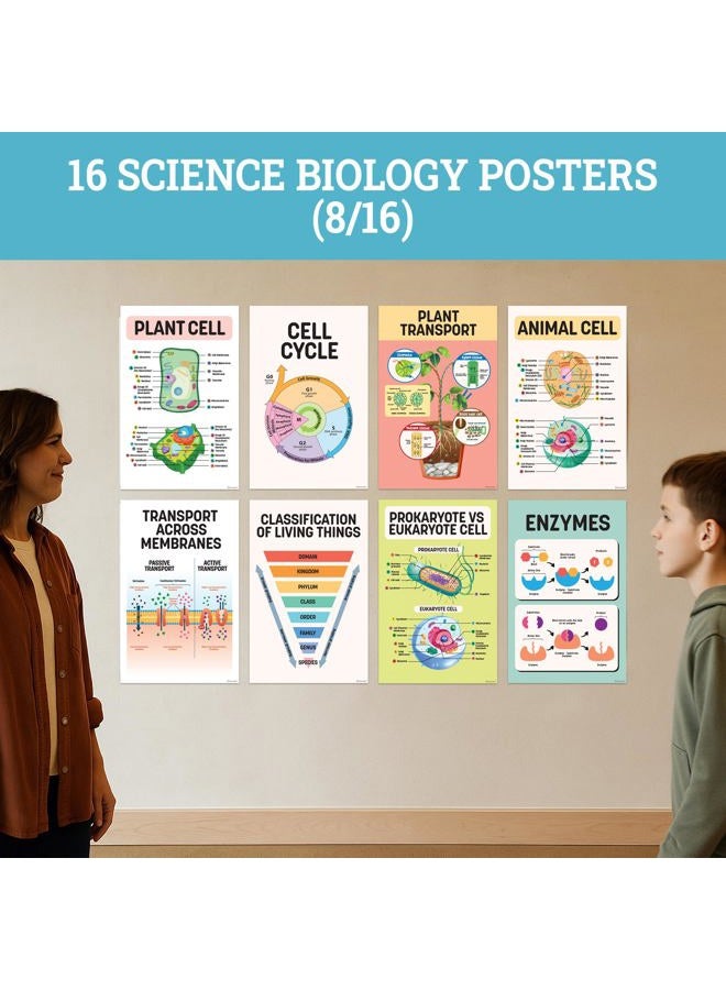 Decorably 16 Biology Posters for Classroom, 11x17in Matte-Laminated Educational Biology Posters for High School - Classroom, School Hallways, Bulletin Boards, Home Study Room - Image 3