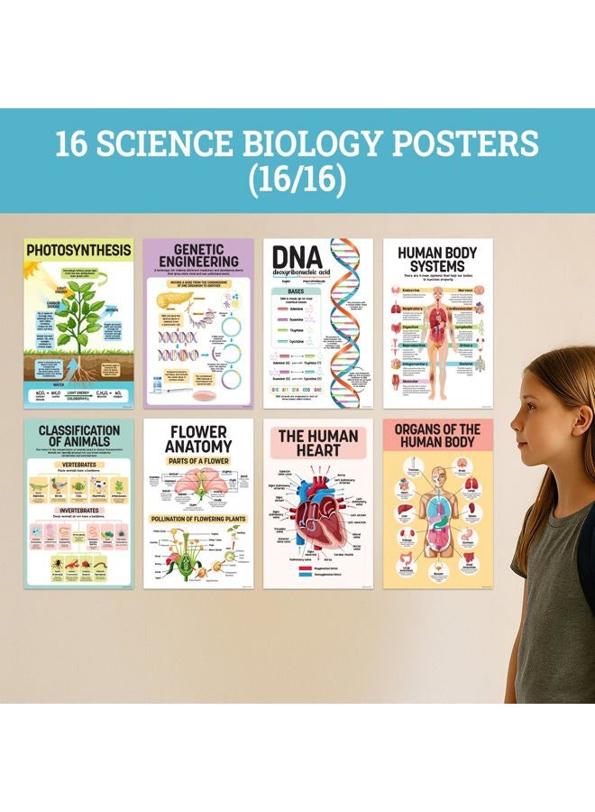Decorably 16 Biology Posters for Classroom, 11x17in Matte-Laminated Educational Biology Posters for High School - Classroom, School Hallways, Bulletin Boards, Home Study Room - Image 4