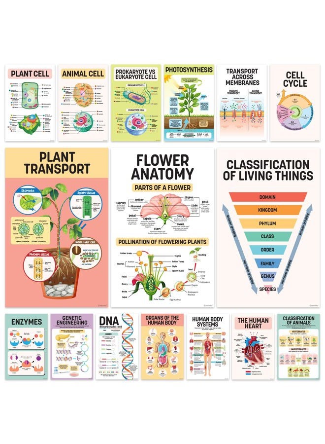 Decorably 16 Biology Posters for Classroom, 11x17in Matte-Laminated Educational Biology Posters for High School - Classroom, School Hallways, Bulletin Boards, Home Study Room - Image 1