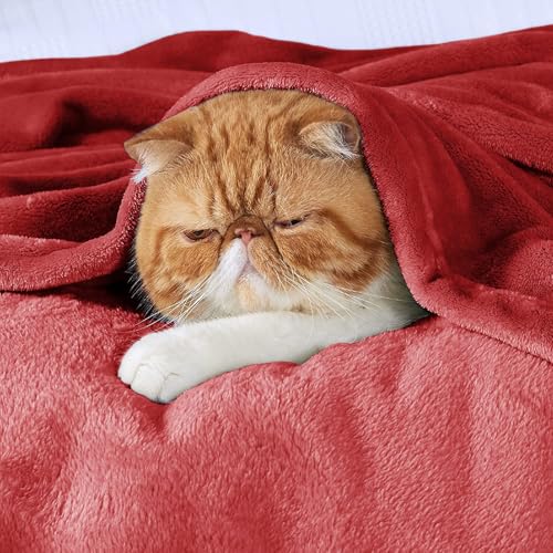 VAS COLLECTIONS Premium Plush Double Blanket | 300 GSM Lightweight Cozy Soft for Bed, Sofa, Couch, Travel & Camping| 220X230 Cm Or 86X90 Inches | Maroon - Image 5