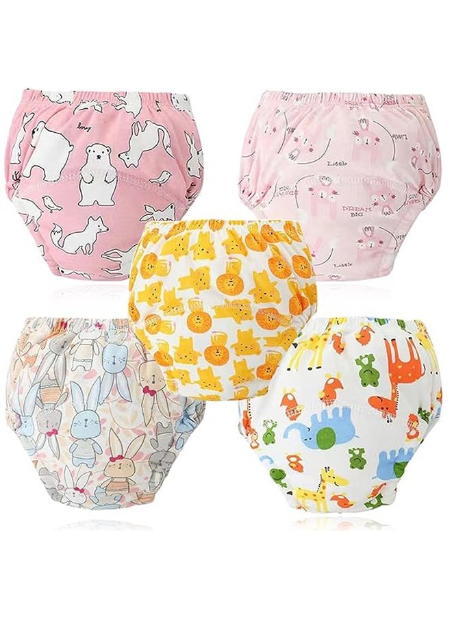 Toddler Training Underwear, Baby Potty Training Pants, 5 PCS Strong Absorbent Cotton Breathable Potty Training Underwear for 0-3 Years Girls - pzsku/ZCBF42DE117032CBBBF60Z/45/_/1711094601/400213a4-7ab0-48bf-b590-1b2b751094df