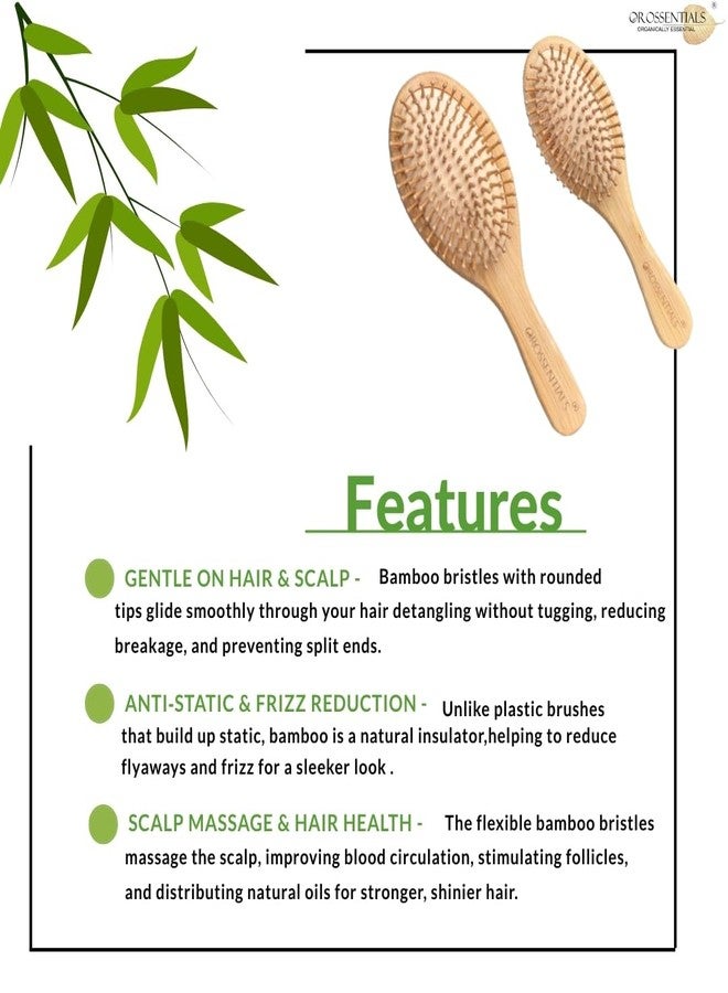 OROSSENTIALS Soft Bamboo Bristle Hair Brush Combo Pack of 2 | Wooden Hair Brush for Women & Men | Large Detangling Wooden Brush for Smooth, Frizz-Free & Healthy Hair - Image 3