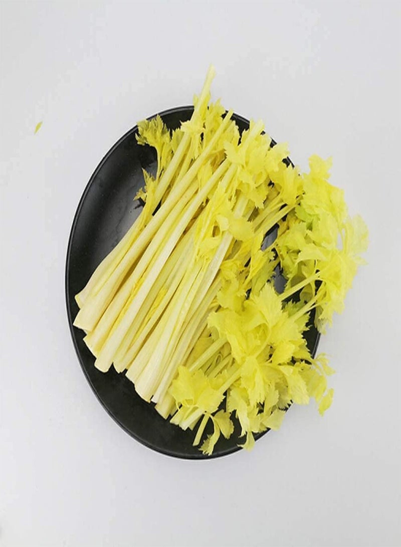 جي جوت 300 قطعة من بذور الكرفس، خضراوات خضراء ذات رائحة طيبة، بيئة جميلة، بذور كرفس خضراوات تراثية لزراعة الحديقة - Image 2