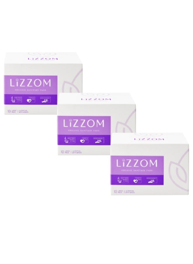 Sanitary Pads, Ultra Thin (Large) - 3 x 10Pcs, UAE
