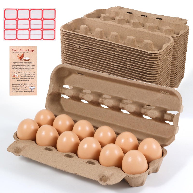 DecarDamai 24-Pack Bulk Empty Egg Cartons for Storage, 12-Count Natural Paper Pulp Reusable & Sturdy Design (Egg Storage Containers) - Image 1