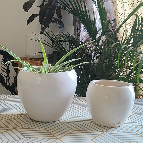 Niyara Set of 2 Ceramic Planters for Home, Garden & Balcony | White Apple Design | Large (5x5 inch) & Small (4x4 inch) Pot Combo - Image 2