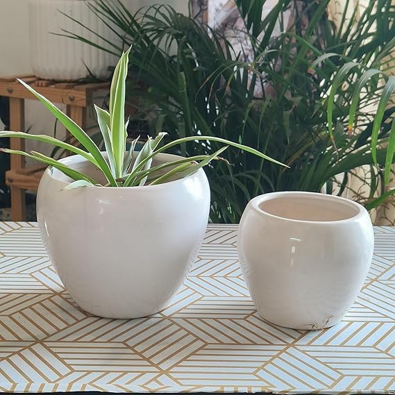 Niyara Set of 2 Ceramic Planters for Home, Garden & Balcony | White Apple Design | Large (5x5 inch) & Small (4x4 inch) Pot Combo - Image 5