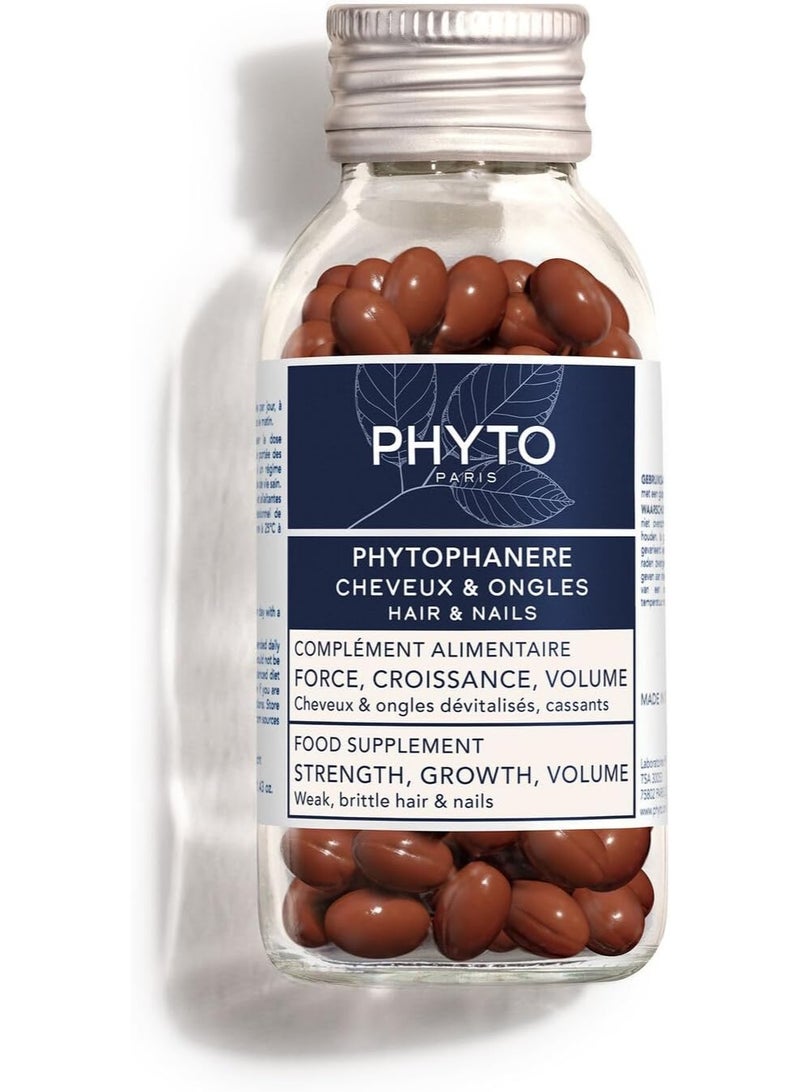 PHYTO Phytophanere Hair & Nail Supplement – 1 Month Supply | Biotin, B Vitamins & Omega Fatty Acids for Strength & Volume - Image 4