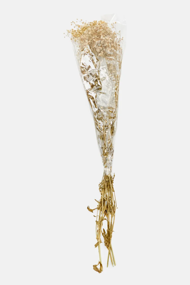 موي موتشو Bouquet Of Dried Flowers 65 cm, Natural